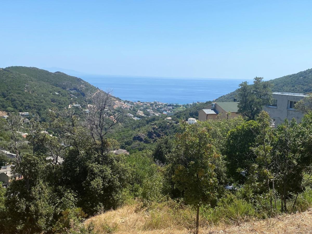 U Cavallu - Luxe Entre Mer Et Montagne Santa-Maria-di-Lota Eksteriør bilde