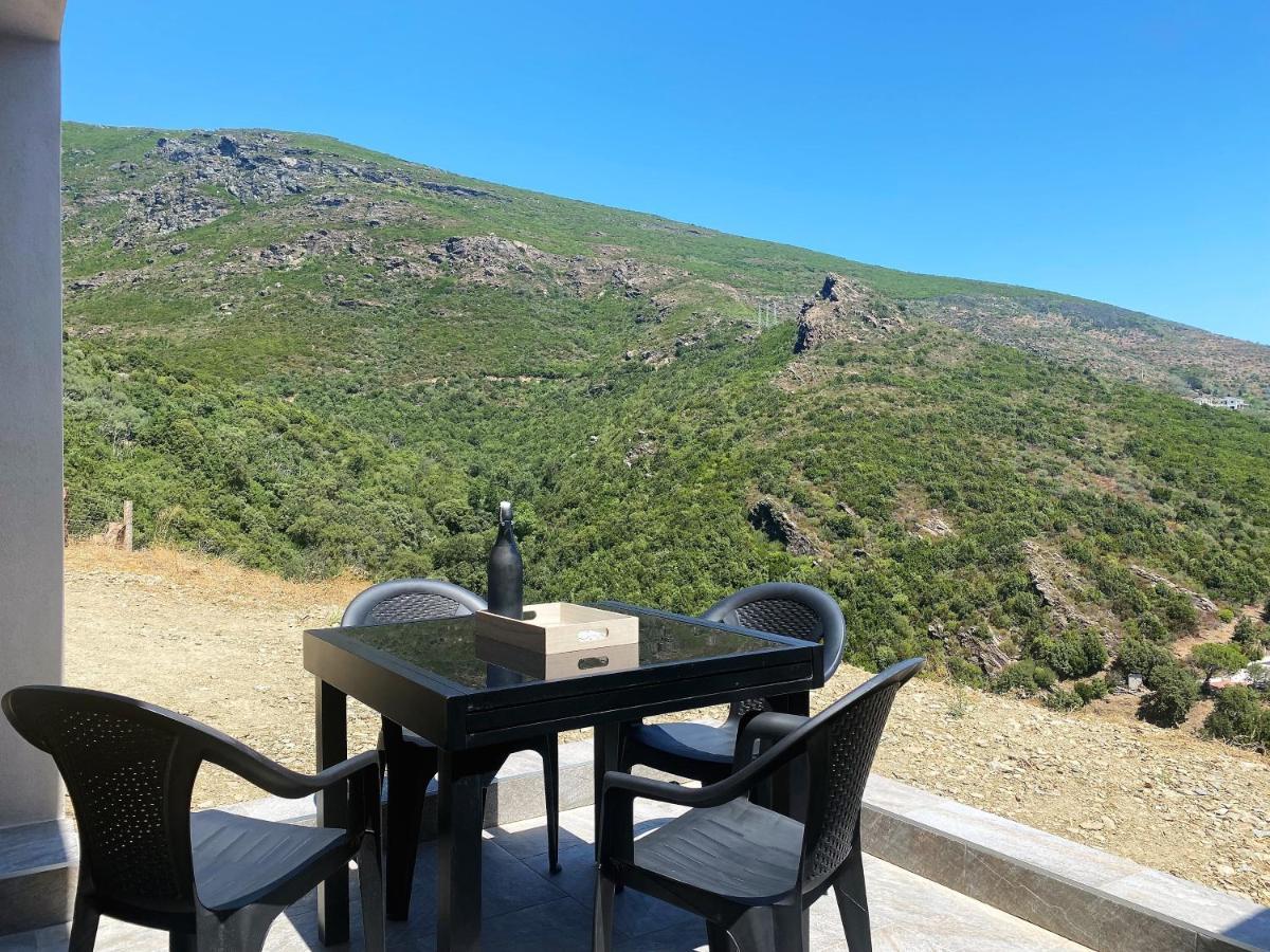U Cavallu - Luxe Entre Mer Et Montagne Santa-Maria-di-Lota Eksteriør bilde